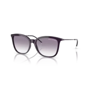 Gafas de sol Armani Exchange (0AX4151S)